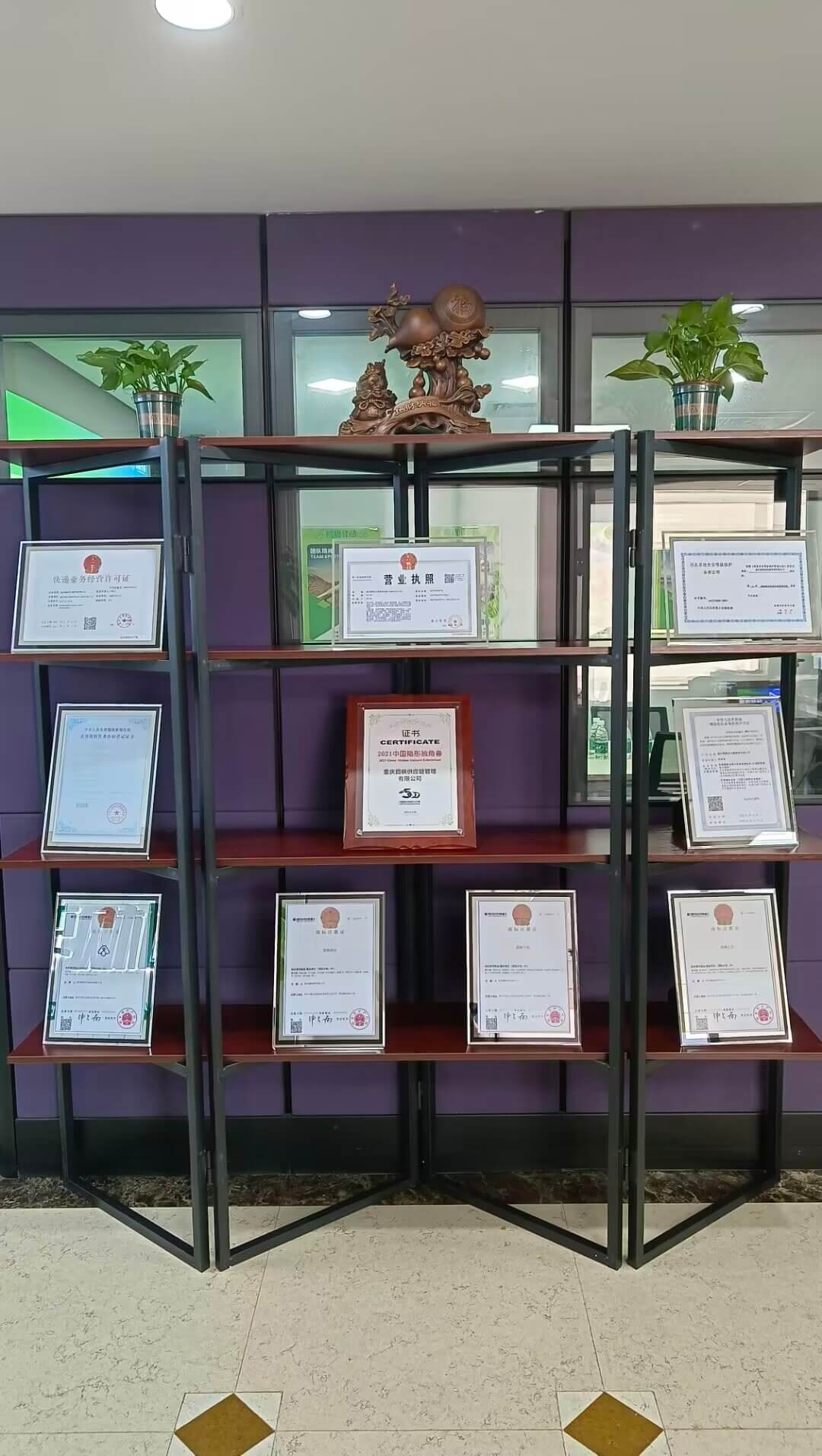 资质齐全 · 圆枫多项荣誉公示